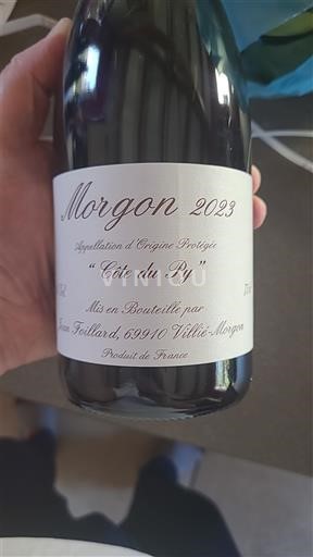 Beaujolais Morgon Jean Foillard Côte du Py 2023
