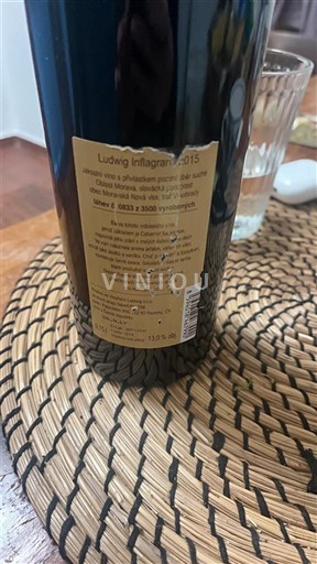 Baden Ludwig Inflagram 2015