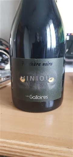 Loiredalen Anjou Les Galloìres Panthère noire 2022