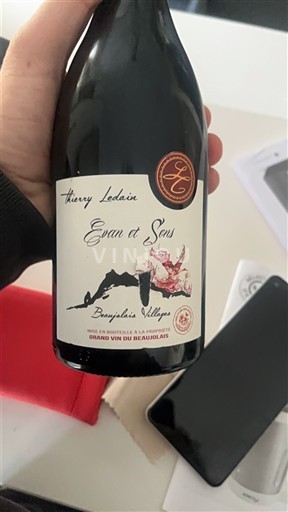 Beaujolais Beaujolais Villages Thierry Ledoain Evan et Sens 2019