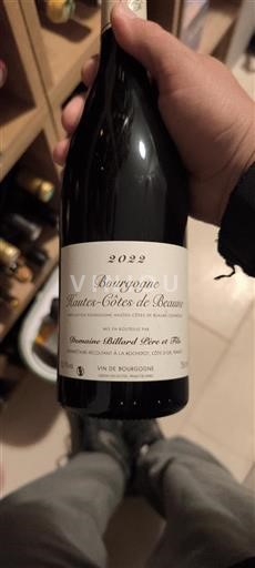 Bourgogne Domaine Billard Père et Fils 2022