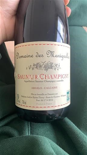 Valle della Loira Saumur-Champigny Domaine Des Marigrolles Senza annata