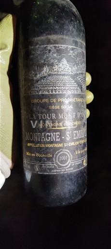 Bordeaux Montagne-saint-émilion La Tour Mont Or 2001
