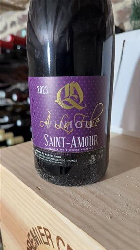 Beaujolais Saint-Amour Domaine Mas des Tines À La Folie 2023