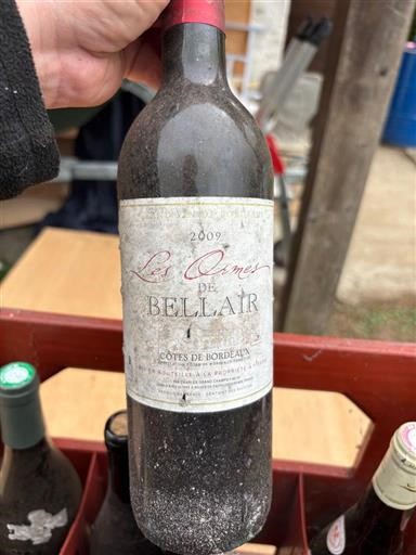 Burdeos Côtes-de-Bordeaux Les Ormes de Bellair 2009