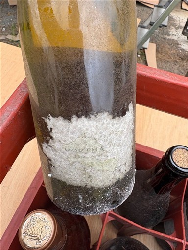 Provence Côtes-de-Provence Château Montmaur Ohne Jahrgang