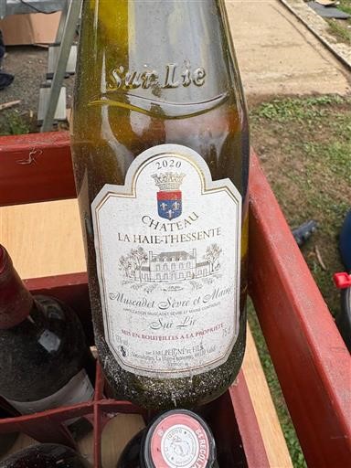 Loiredalen Muscadet-Sèvre-et-Maine Château La Haie-Thessente 2020