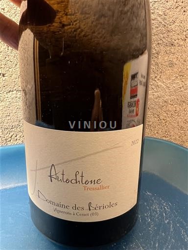 Loire Valley Saint-Pourçain Domaine Des Bérioles Autochtone Tressallier 2022