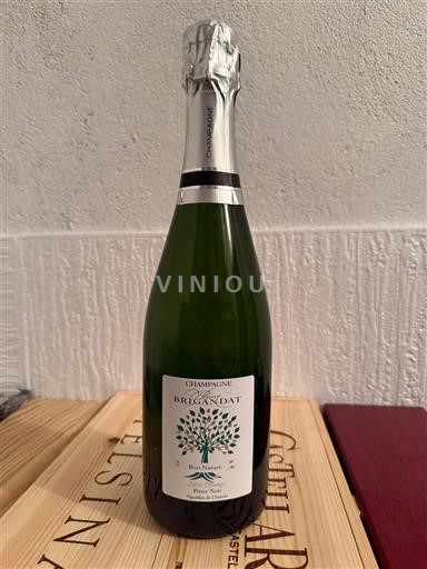 Champagne Champagner Brigandat Ohne Jahrgang