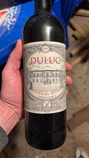 Bordeaux Saint-Julien Branaire-Ducru Duluc 2009