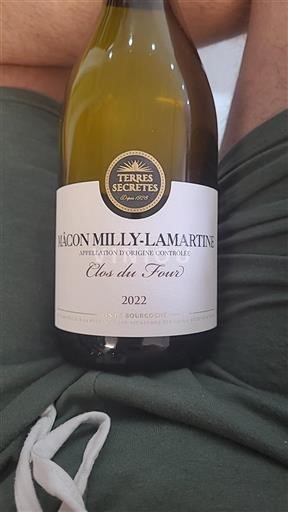 Borgoña Mâcon y Mâcon-villages Terres Secrètes Clos du Four 2022