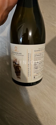 Šampanja Coteaux Champenois Les Pucelles - Godmé Sabine Coteaux Champenois Neleten.