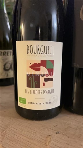 Vallée de la Loire Bourgueil Complices de Loire Les Terroirs d'Argile 2021
