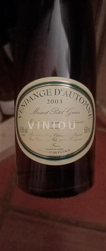 Langvedok Muškat Saint-Jean-de-Minervois Vendange Automne 2003