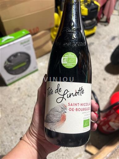 Thung lũng sông Loire Saint-Nicolas-De-Bourgueil Tête de Linotte 2020