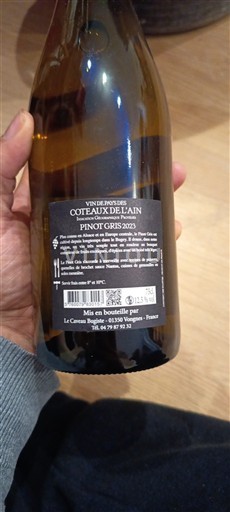 Savoia e Bugey Caveau bugiste Pinot gris 2023