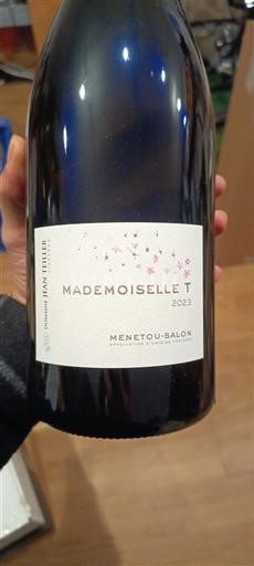Thung lũng sông Loire Menetou-salon Domaine Jean Teiller Mademoiselle T 2023