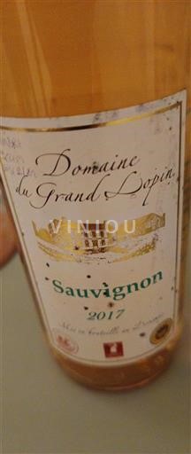 Dolina Loare Touraine Domaine Grand Lopin Sauvignon 2017
