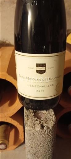 Údolí Loiry Saint-Nicolas-De-Bourgueil Vigne du Lys Les Echaliers 2019