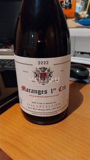 Borgonha Não especificado Premier Cru Jean Lecellier 2022