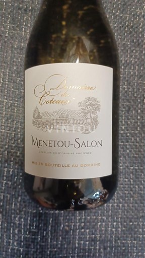 Valle del Loira Menetou-Salon Domaine Des Coteaux 2024