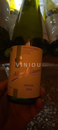 Alsacia Albert Maurer 2018