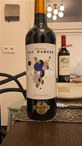 Bordeaux Côtes-de-bourg Château Puy Amour 2019