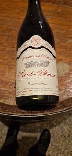 Beaujolais Saint-Amour Domaine Des Darins Côte de Besset 2014