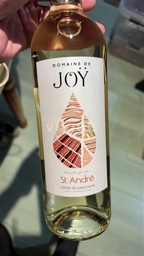 Zuidwest-Frankrijk Côtes de Gascogne Domaine Joÿ St. André 2024