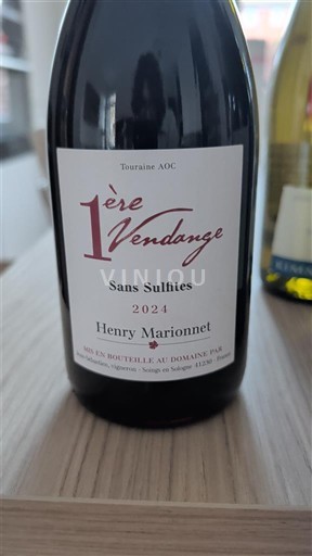 Dolina Loare Touraine Henry Marionnet 1ère Vendange 2024