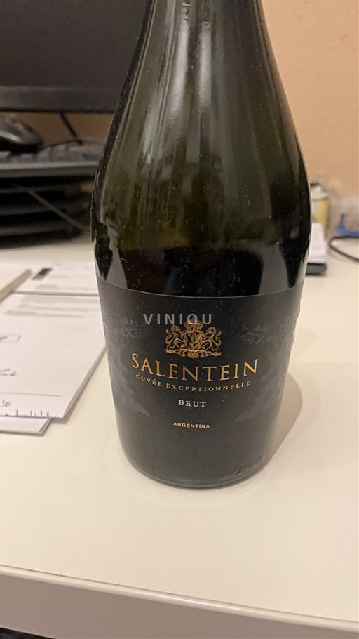 Mendoza Non specificato Salentein Exceptionnelle Senza annata