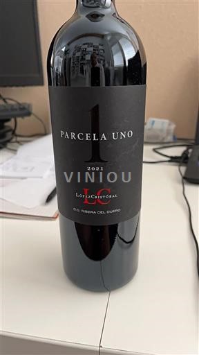 Castille và León Ribera del Duero Lopez Cristobal Parcela Uno 2021
