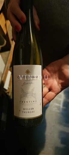 Emilie-Romagne Reggiano Conti Arco Non Millésimé