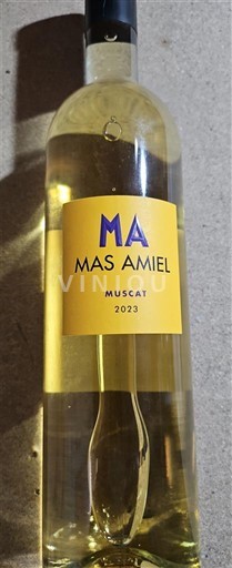 Roussillon Muscat de Rivesaltes Mas Amiel Muscat 2023