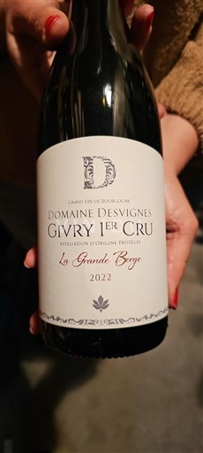 Borgoña No especificado Premier Cru Domaine Desvignes La Grande Berge 2022