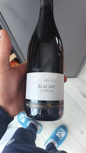 Bourgogne Blagny Domaine André Montille et Fils Le Trézin 2021