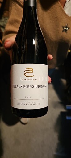 Bourgogne Coteaux bourguignons Domaine Benoit Chevallier 2023