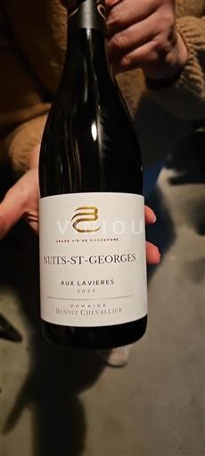Bourgogne Nuits-saint-georges Domaine Benoît Chevallier Aux Lavières 2023