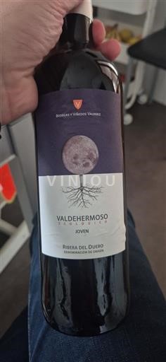 Castilien og León Ribera del Duero Valdehermoso Joven 2022