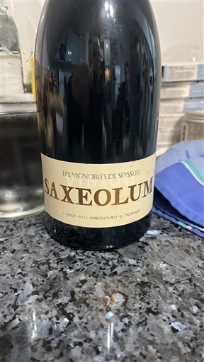 Alpen en Rhônevallei Rhodanische Heuvels Les Vignobles de Seyssuel Saxeolum Niet-geïntegreerd