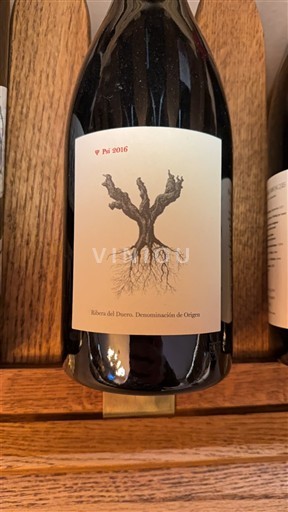 Castilla y León Ribera del Duero Dominio de Pingus Psi 2016