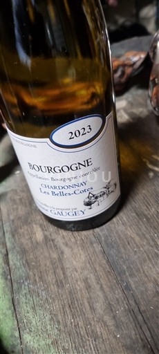 Burgundsko Domaine Gaugey Les Belles-Côtes 2023