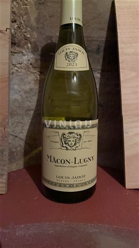 Burgundsko Mâcon a mâconské vesnice Louis Jadot 2023