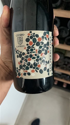 Thung lũng sông Loire Chinon Lambert Les Perruches 2021