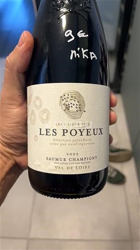 Valle della Loira Saumur-Champigny Les 7 Lieux Dits Les Poyeux 2022