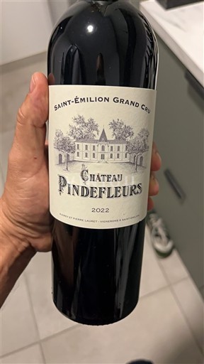 Bordeaux Saint-Émilion Grand Cru Grand Cru Château Pindefleurs 2022