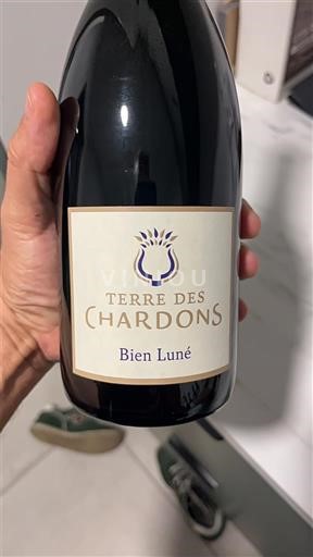 Valle del Ródano Costières de Nimes Terre des Chardons Bien Luné 2023