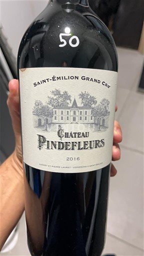 Bordeaux Saint-Émilion Grand Cru Château Pindefleurs 2016