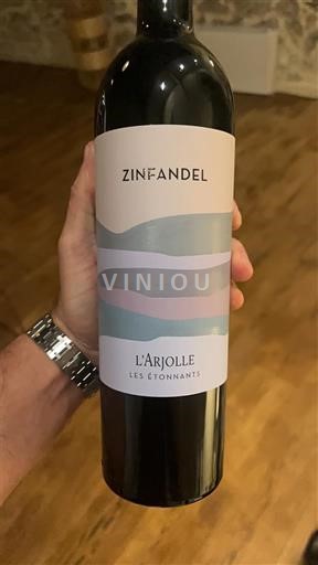 Languedoc-Roussillon Côtes de Thongue Domaine L'Arjolle Les Étonnants 2022