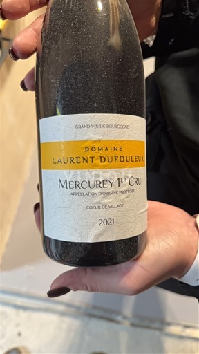 Borgonha Não especificado Premier Cru Domaine Laurent Dufouleur Coeur de Village 2021